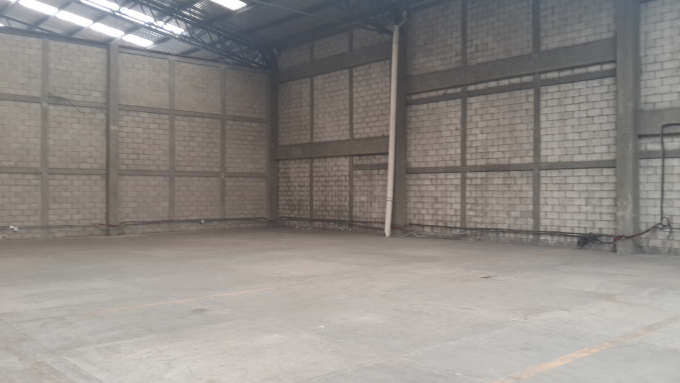 Los servicios adicionales que ofrecen las bodegas industriales y c�mo pueden beneficiar a tu empresa