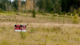 Aumenta la visibilidad de tu terreno en el mercado inmobiliario con estrategias de marketing efectivas y novedosas que multipliquen tus oportunidades de venta y cierre de negocios 