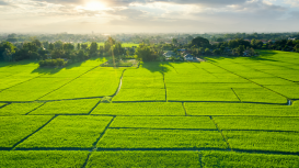 Los beneficios de incluir im�genes de alta calidad en la promoci�n de venta de terrenos para dar una buena impresi�n y generar inter�s en los compradores potenciales 