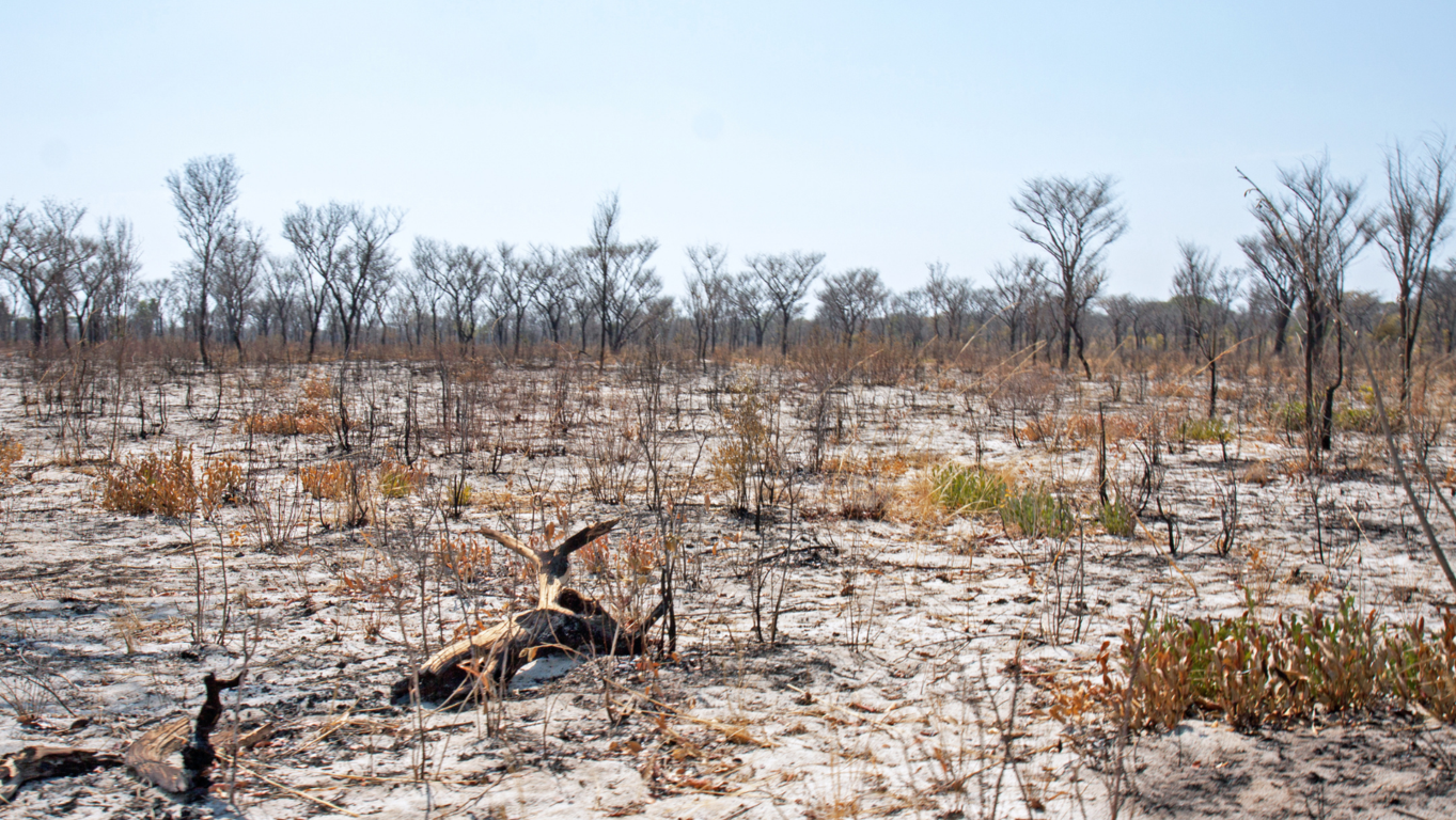 �Haz que tu terreno sea la opci�n m�s atractiva del mercado con estrategias innovadoras y creativas que lo destaquen y lo conviertan en una propiedad deseada! 