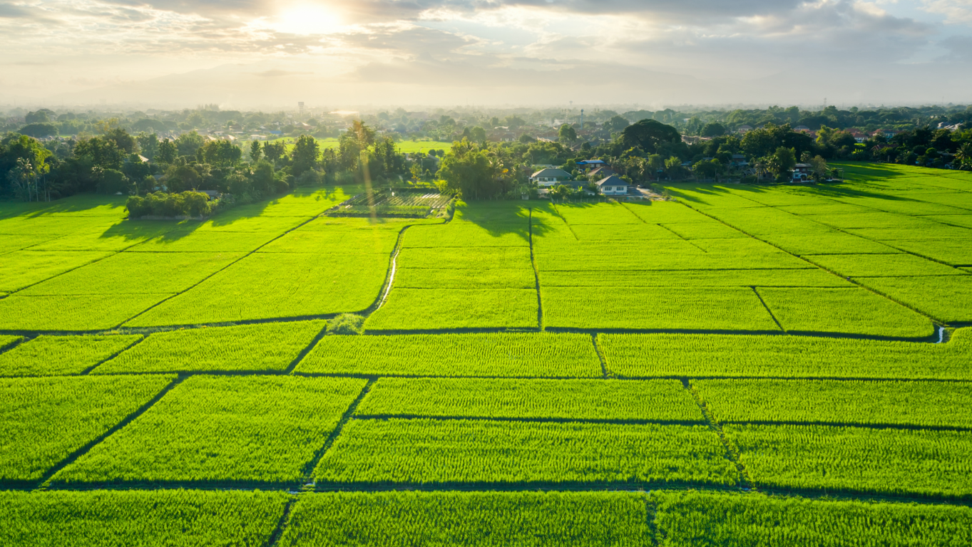 Consejos para atraer a inquilinos de calidad a tu terreno