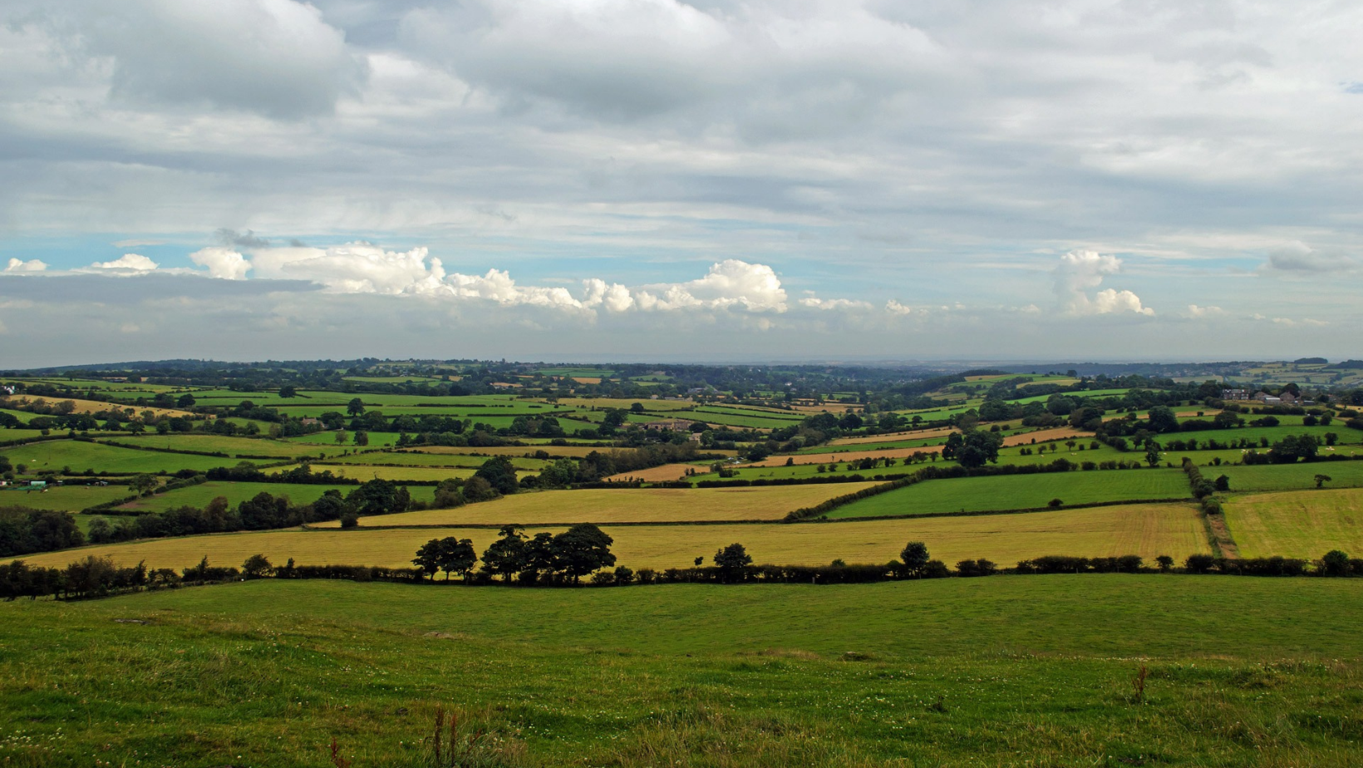 Los beneficios de contar con un equipo dedicado a la promoci�n de venta de terrenos para obtener los mejores resultados
