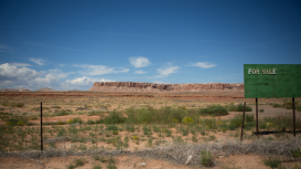 �No dejes pasar esta oportunidad de vender tu terreno de forma exitosa!