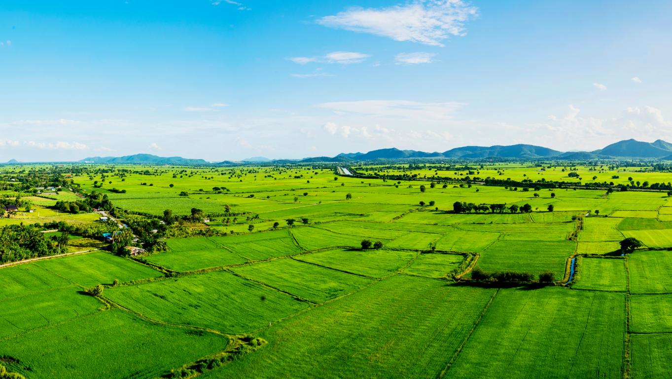 Rentar terrenos: claves para un contrato de arrendamiento claro, detallado y seguro