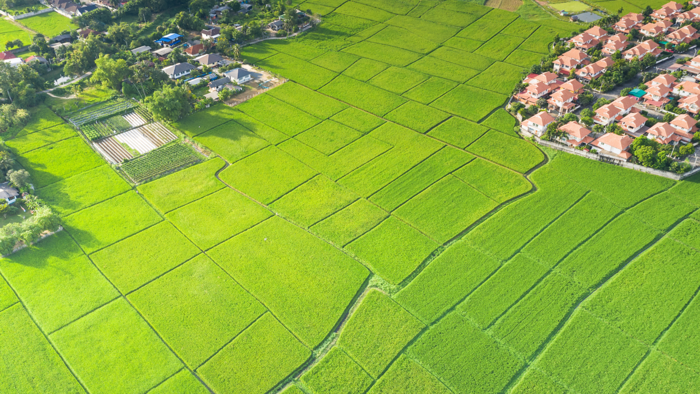 C�mo resaltar el potencial de tu terreno para captar la atenci�n de los compradores