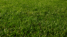 C�mo un Agente Inmobiliario Puede Potenciar la Visibilidad y Reconocimiento de tu Marca Personal en la Promoci�n de tu Casa de Forma Eficaz