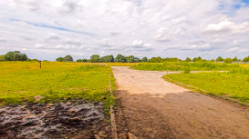 Rentar tu terreno como inversi�n: maximiza tus ganancias