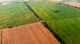 �Vende tu terreno de forma r�pida y exitosa con estas estrategias de marketing!