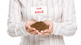 �Quieres rentar tu terreno? Descubre c�mo hacerlo con �xito