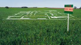 �Haz que tu terreno sea la opci�n m�s atractiva del mercado con estrategias innovadoras y creativas que lo destaquen frente a la competencia! 