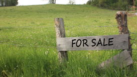 Los beneficios de contar con un agente especializado en terrenos para la renta de propiedades