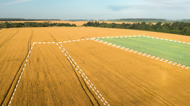 Rentar terrenos: consejos para atraer a los inquilinos ideales